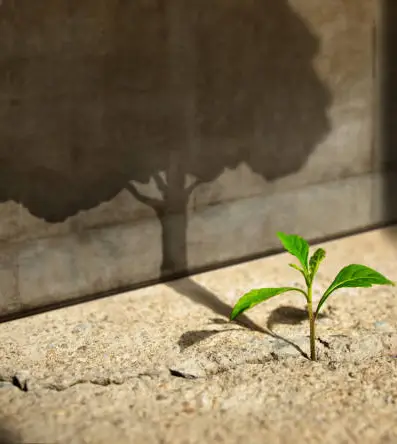 grupy empatii Małgorzata Gargas